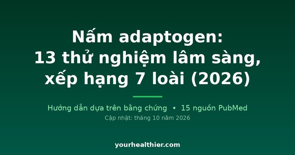 Nấm adaptogen: 13 thử nghiệm lâm sàng, xếp hạng 7 loài (2026)