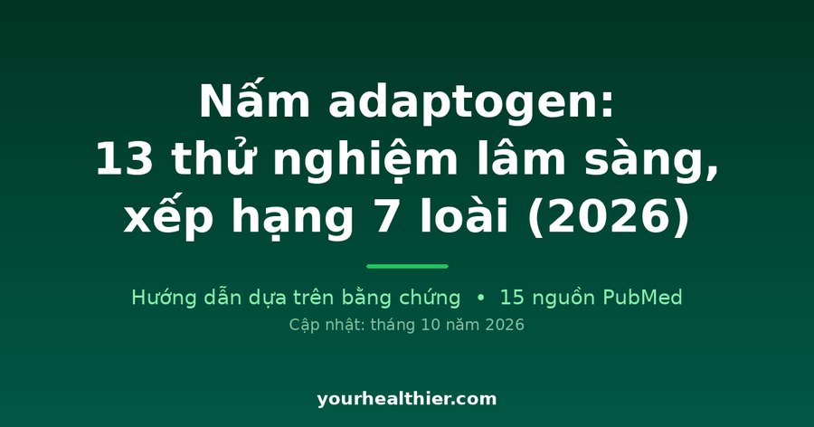 Nấm adaptogen: 13 thử nghiệm lâm sàng, xếp hạng 7 loài (2026)