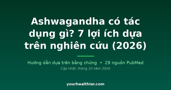 Ashwagandha có tác dụng gì? 7 lợi ích dựa trên nghiên cứu (2026)
