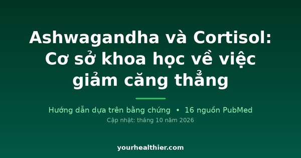 Ashwagandha và Cortisol: Cơ sở khoa học về việc giảm căng thẳng