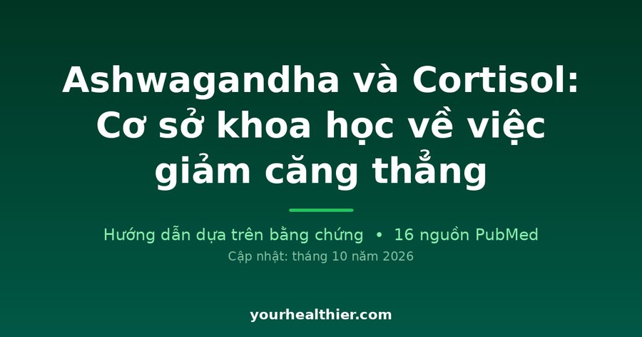 Ashwagandha và Cortisol: Cơ sở khoa học về việc giảm căng thẳng