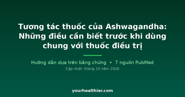 Tương tác thuốc của Ashwagandha: Những điều cần biết trước khi dùng chung với thuốc điều trị