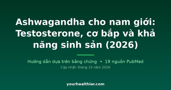 Ashwagandha cho nam giới: Testosterone, cơ bắp và khả năng sinh sản (2026)