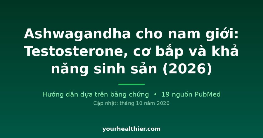 Ashwagandha cho nam giới: Testosterone, cơ bắp và khả năng sinh sản (2026)