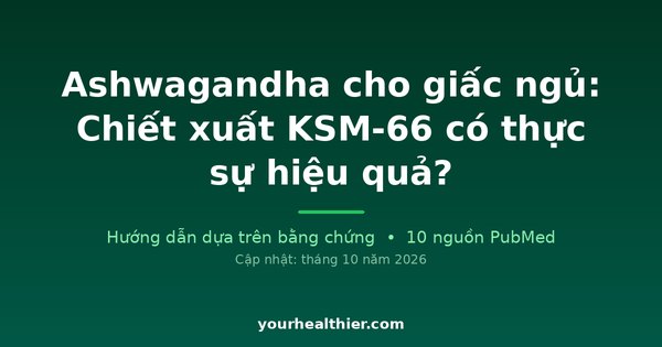 Ashwagandha cho giấc ngủ: Chiết xuất KSM-66 có thực sự hiệu quả?