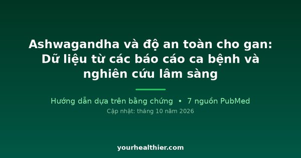 Ashwagandha và độ an toàn cho gan: Dữ liệu từ các báo cáo ca bệnh và nghiên cứu lâm sàng