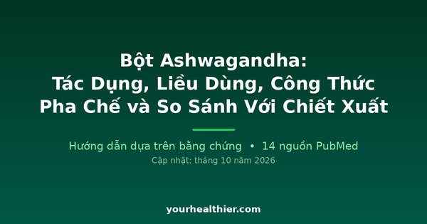 Bột Ashwagandha: Tác Dụng, Liều Dùng, Công Thức Pha Chế và So Sánh Với Chiết Xuất