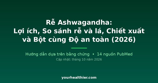 Rễ Ashwagandha: Lợi ích, So sánh rễ và lá, Chiết xuất và Bột cùng Độ an toàn (2026)