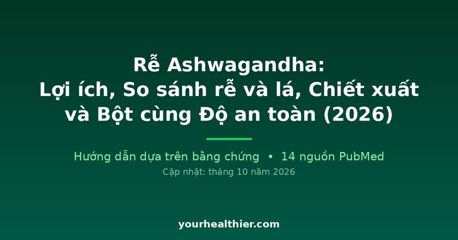 Rễ Ashwagandha: Lợi ích, So sánh rễ và lá, Chiết xuất và Bột cùng Độ an toàn (2026)