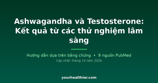 Ashwagandha và Testosterone: Kết quả từ các thử nghiệm lâm sàng