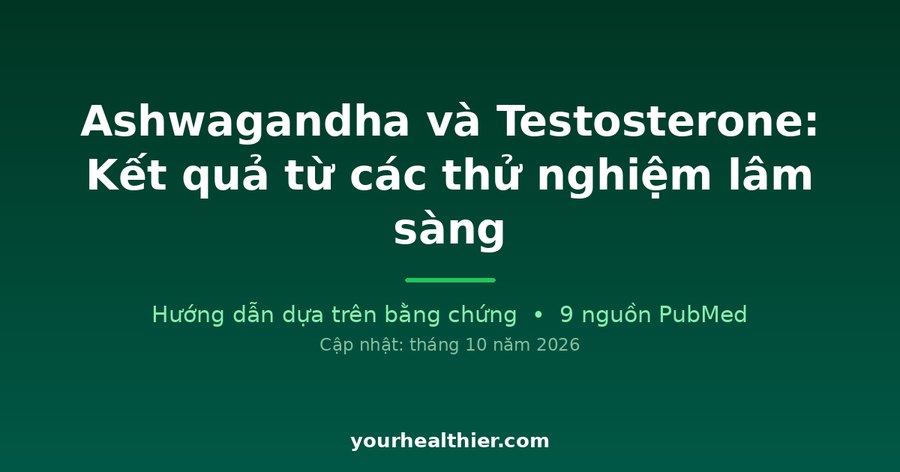 Ashwagandha và Testosterone: Kết quả từ các thử nghiệm lâm sàng