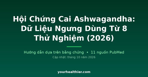 Hội Chứng Cai Ashwagandha: Dữ Liệu Ngưng Dùng Từ 8 Thử Nghiệm (2026)