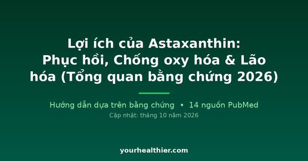 Lợi ích của Astaxanthin: Phục hồi, Chống oxy hóa & Lão hóa (Tổng quan bằng chứng 2026)