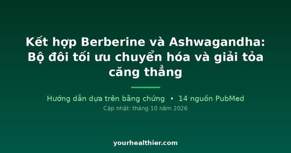 Kết hợp Berberine và Ashwagandha: Bộ đôi tối ưu chuyển hóa và giải tỏa căng thẳng