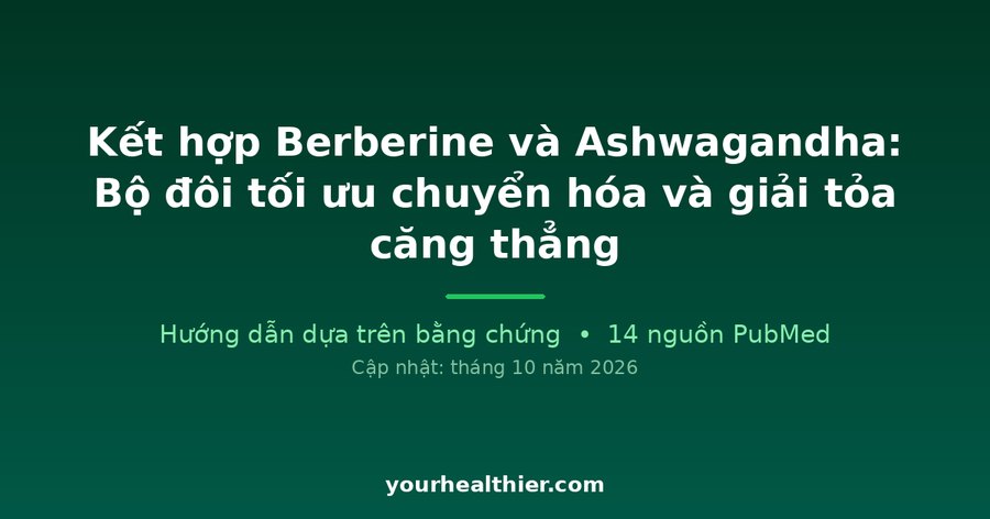Kết hợp Berberine và Ashwagandha: Bộ đôi tối ưu chuyển hóa và giải tỏa căng thẳng
