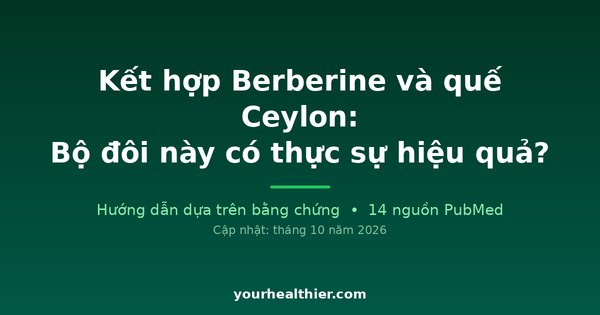 Kết hợp Berberine và quế Ceylon: Bộ đôi này có thực sự hiệu quả?