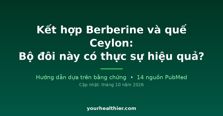 Kết hợp Berberine và quế Ceylon: Bộ đôi này có thực sự hiệu quả?