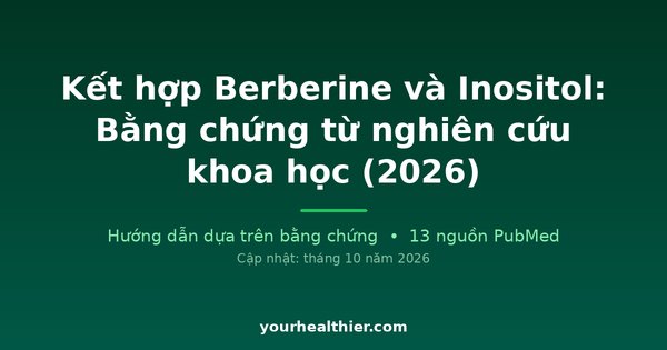 Kết hợp Berberine và Inositol: Bằng chứng từ nghiên cứu khoa học (2026)