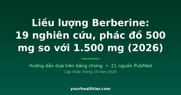 Liều lượng Berberine: 19 nghiên cứu, phác đồ 500 mg so với 1.500 mg (2026)