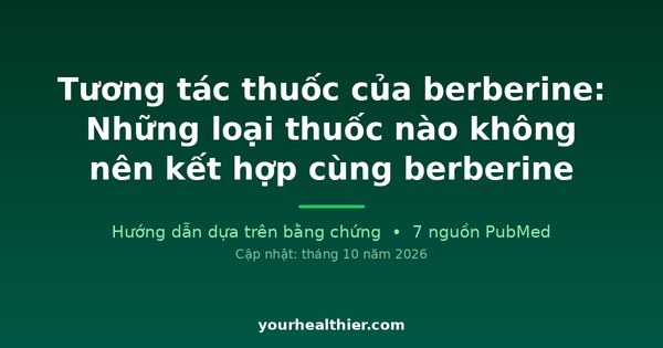 Tương tác thuốc của berberine: Những loại thuốc nào không nên kết hợp cùng berberine