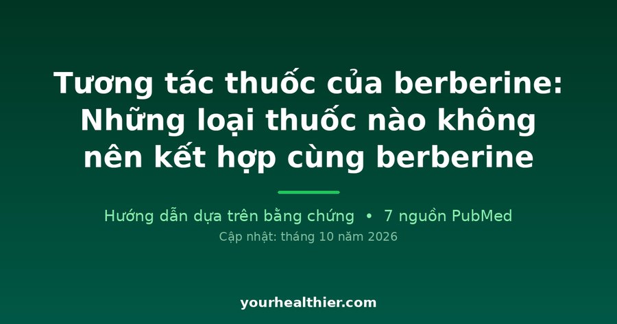 Tương tác thuốc của berberine: Những loại thuốc nào không nên kết hợp cùng berberine