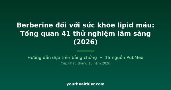 Berberine đối với sức khỏe lipid máu: Tổng quan 41 thử nghiệm lâm sàng (2026)