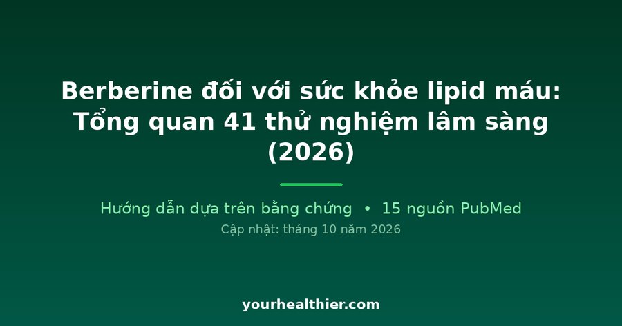 Berberine đối với sức khỏe lipid máu: Tổng quan 41 thử nghiệm lâm sàng (2026)