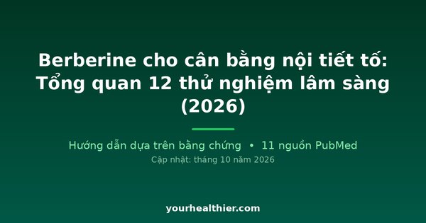 Berberine cho cân bằng nội tiết tố: Tổng quan 12 thử nghiệm lâm sàng (2026)