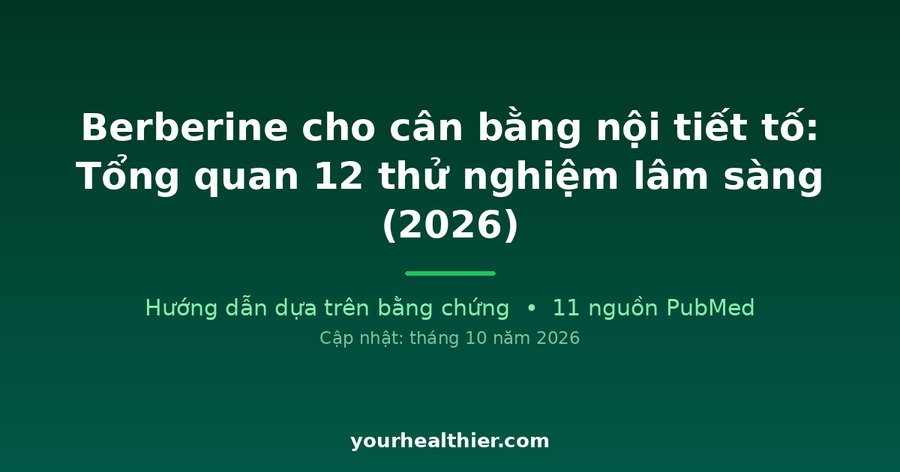 Berberine cho cân bằng nội tiết tố: Tổng quan 12 thử nghiệm lâm sàng (2026)
