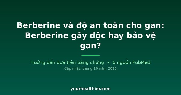 Berberine và độ an toàn cho gan: Berberine gây độc hay bảo vệ gan?