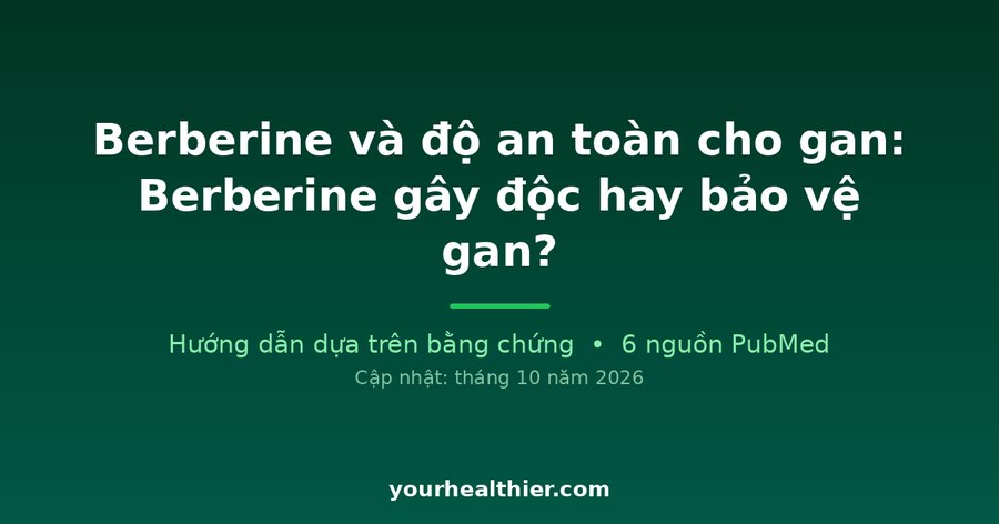 Berberine và độ an toàn cho gan: Berberine gây độc hay bảo vệ gan?
