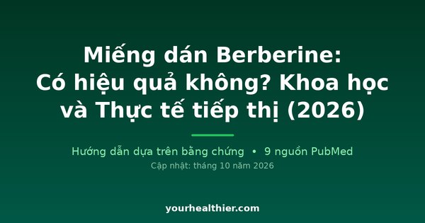 Miếng dán Berberine: Có hiệu quả không? Khoa học và Thực tế tiếp thị (2026)