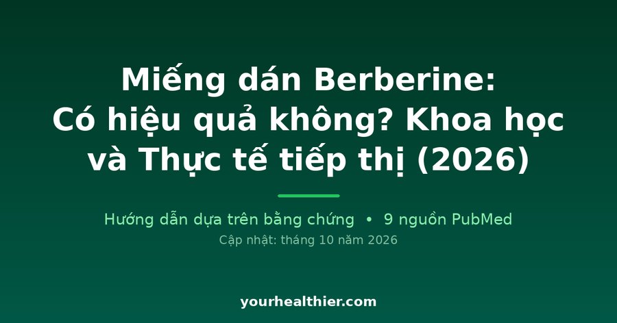 Miếng dán Berberine: Có hiệu quả không? Khoa học và Thực tế tiếp thị (2026)