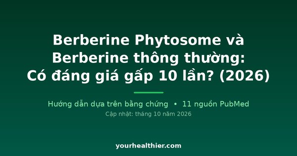 Berberine Phytosome và Berberine thông thường: Có đáng giá gấp 10 lần? (2026)