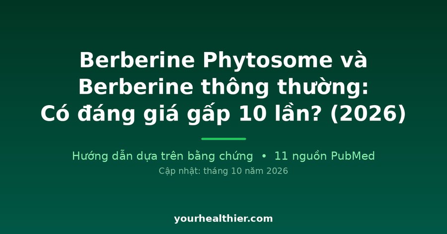 Berberine Phytosome và Berberine thông thường: Có đáng giá gấp 10 lần? (2026)