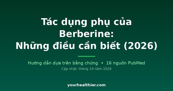 Tác dụng phụ của Berberine: Những điều cần biết (2026)