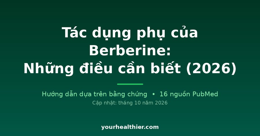 Tác dụng phụ của Berberine: Những điều cần biết (2026)