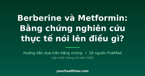 Berberine và Metformin: Bằng chứng nghiên cứu thực tế nói lên điều gì?