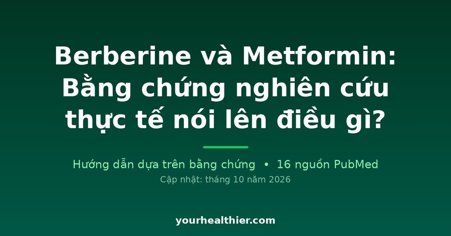 Berberine và Metformin: Bằng chứng nghiên cứu thực tế nói lên điều gì?