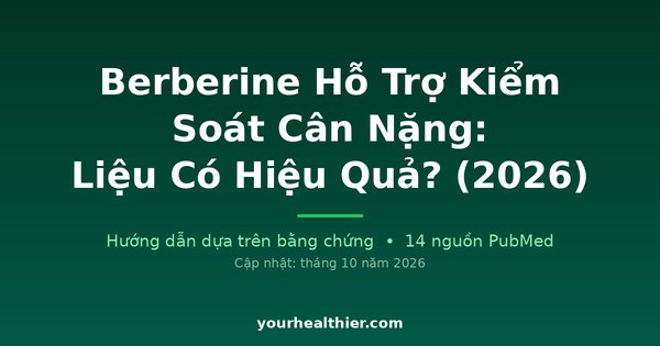 Berberine Hỗ Trợ Kiểm Soát Cân Nặng: Liệu Có Hiệu Quả? (2026)