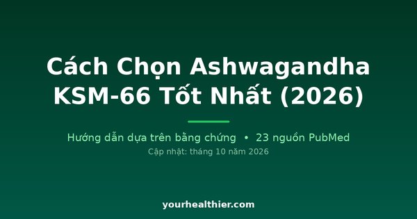 Cách Chọn Ashwagandha KSM-66 Tốt Nhất (2026)