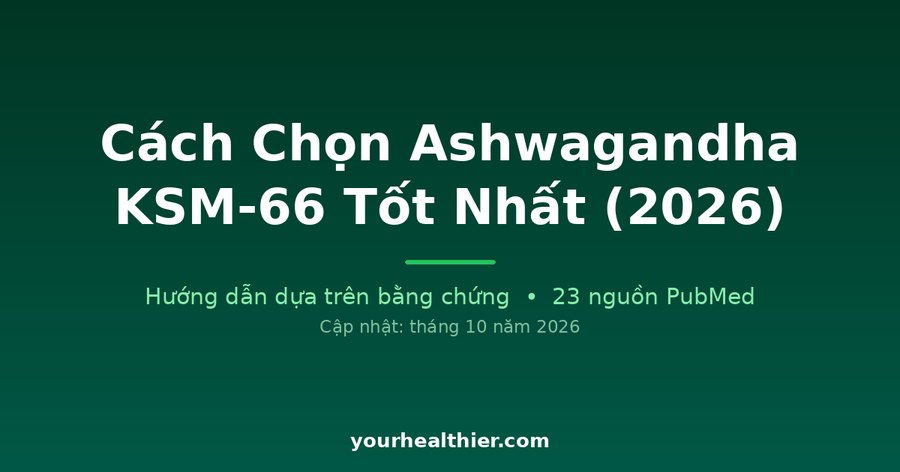 Cách Chọn Ashwagandha KSM-66 Tốt Nhất (2026)