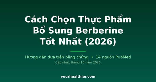 Cách Chọn Thực Phẩm Bổ Sung Berberine Tốt Nhất (2026)