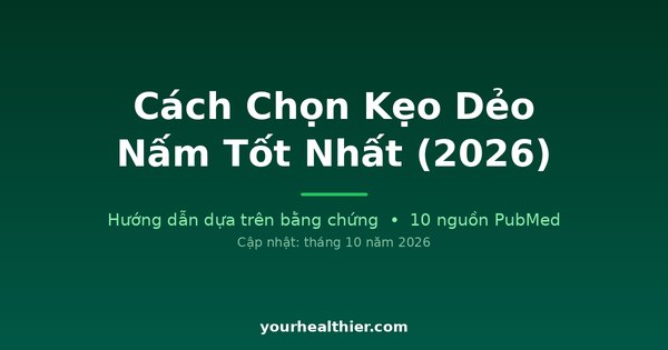 Cách Chọn Kẹo Dẻo Nấm Tốt Nhất (2026)
