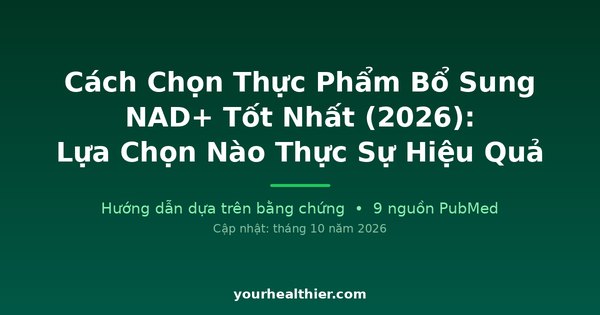 Cách Chọn Thực Phẩm Bổ Sung NAD+ Tốt Nhất (2026): Lựa Chọn Nào Thực Sự Hiệu Quả