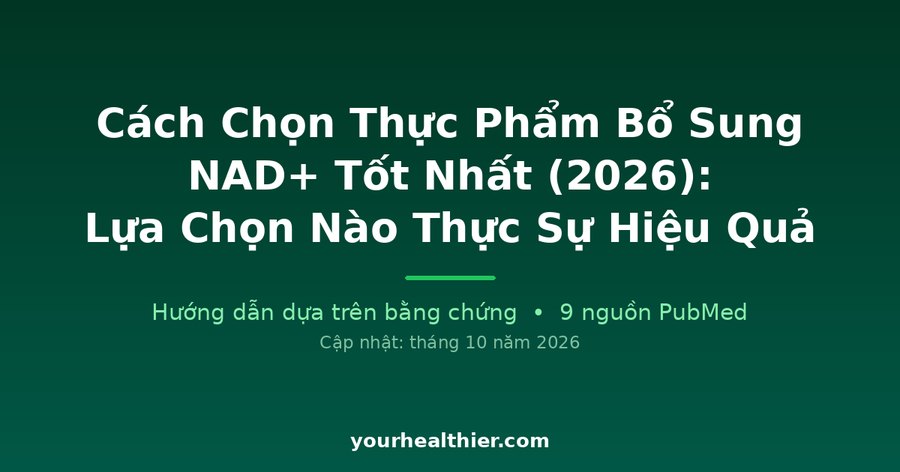 Cách Chọn Thực Phẩm Bổ Sung NAD+ Tốt Nhất (2026): Lựa Chọn Nào Thực Sự Hiệu Quả