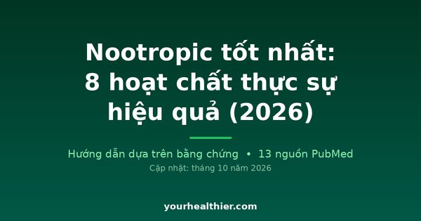 Nootropic tốt nhất: 8 hoạt chất thực sự hiệu quả (2026)