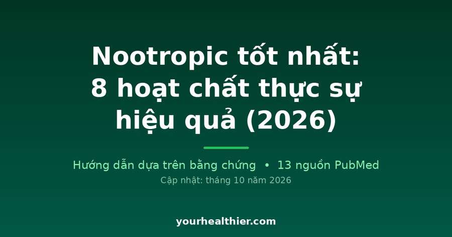 Nootropic tốt nhất: 8 hoạt chất thực sự hiệu quả (2026)