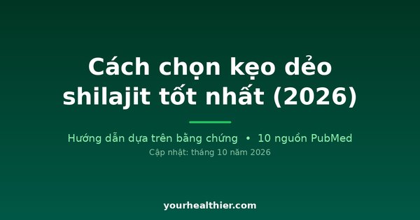 Cách chọn kẹo dẻo shilajit tốt nhất (2026)