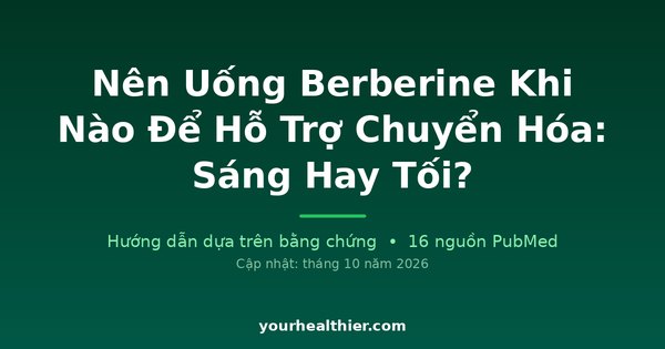 Nên Uống Berberine Khi Nào Để Hỗ Trợ Chuyển Hóa: Sáng Hay Tối?